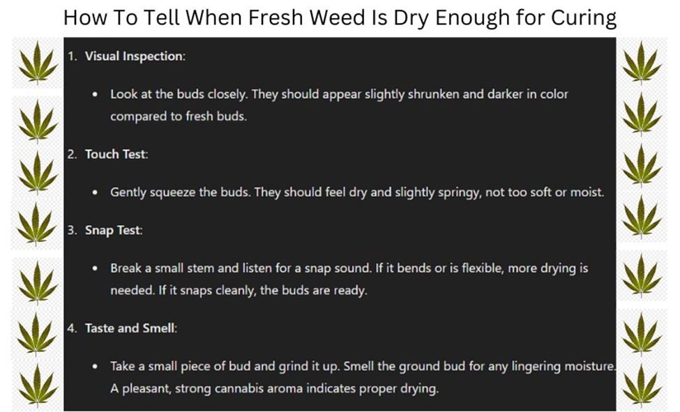 how to know when weed is dry