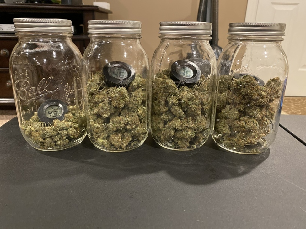 jar curing weed