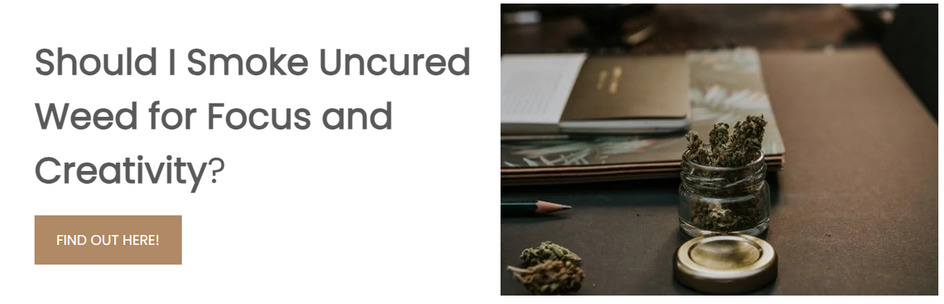 uncured weed