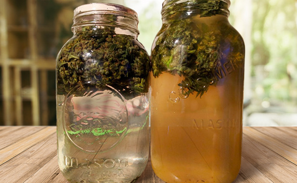 how to water cure weed