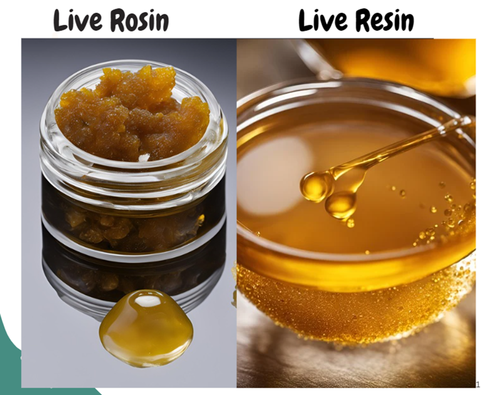 Live Resin vs. Live Rosin: What’s the Difference?